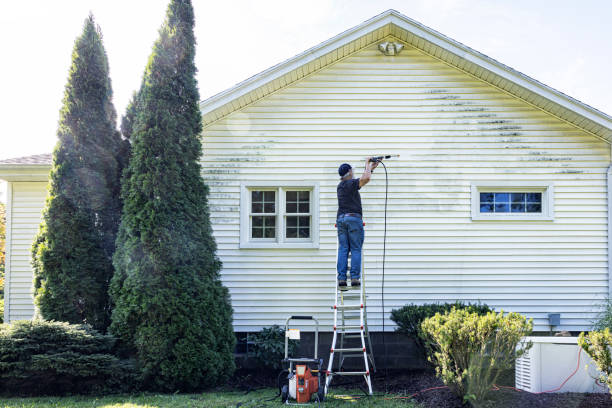 Best Driveway Pressure Washing  in Colony Rk, PA